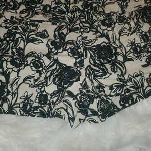 Ann Taylor Loft short shorts